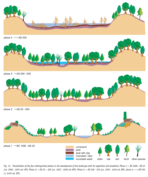 Fig. 13. Visualization of the four distinguished phases in the development of the landscape with its vegetation and woodland. Phase 1: ~ BC 2000 - AD 25
(ca. 3900 - 1925 cal. BP); Phase 2: ~ AD 25 – 300 (ca. 1925 - 1650 cal. BP); Phase 3: ~ AD 300 - 530 (ca. 1650 - 1420 cal. BP); phase 4: ~ > AD 530
(< 1420 cal. BP).